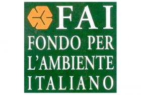 Logo FAI