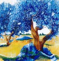 36_Teresa_Moraschi_Pilotti